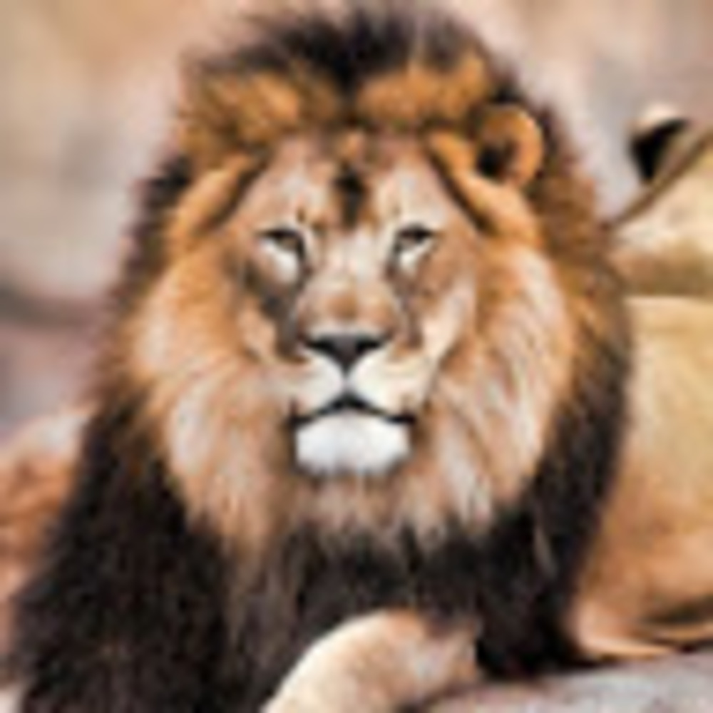 Meet your Posher, Hidemi